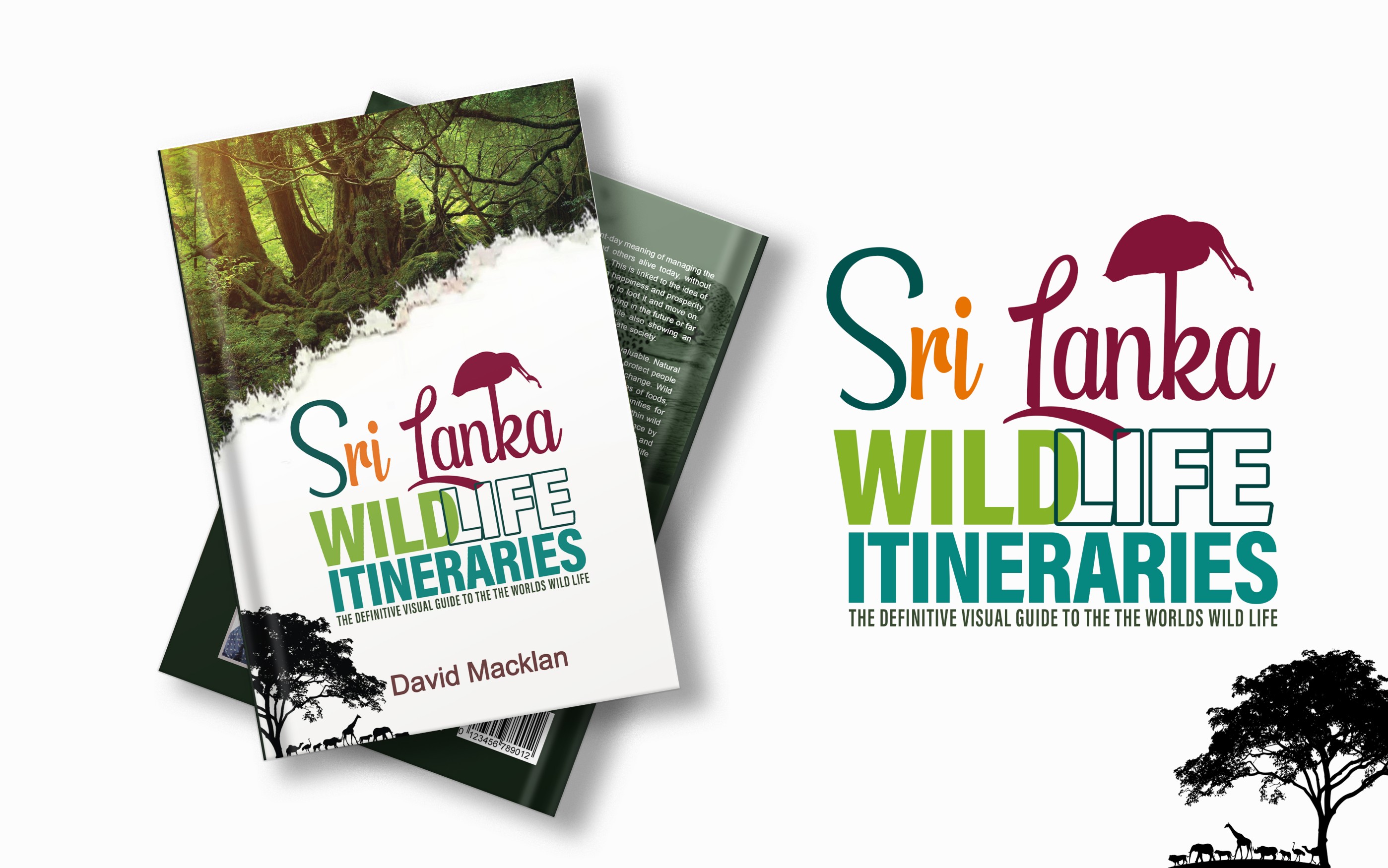 Brand Identity Project